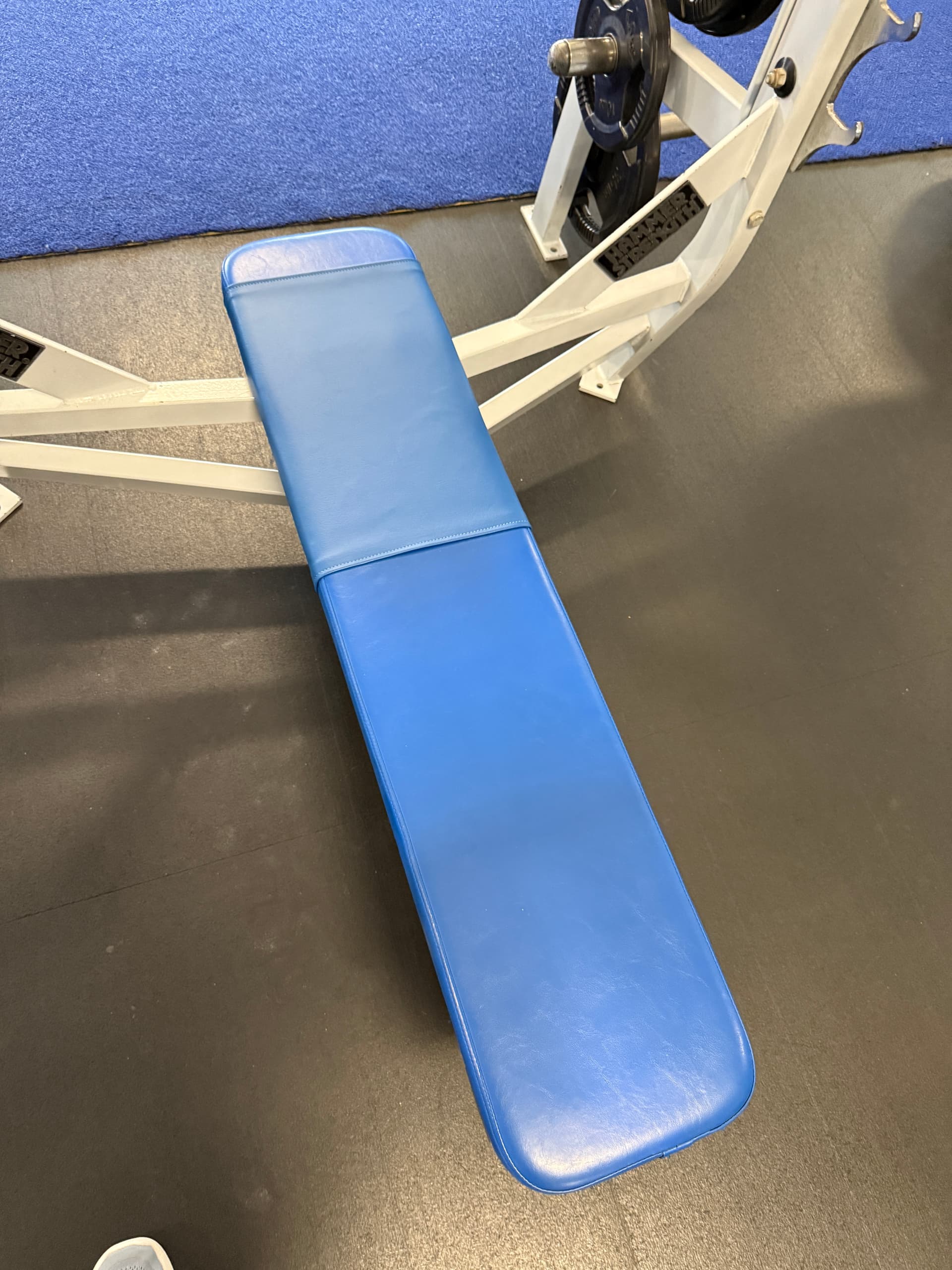 Commercial gym bench with refreshed blue upholstery